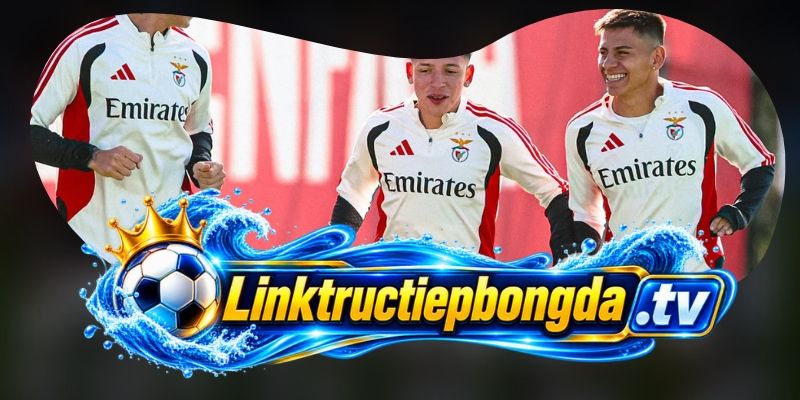 Nhận định kèo Santa Clara vs Benfica 01h45 27/10