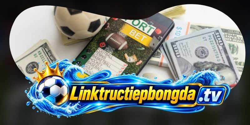 Câu hỏi thường gặp về đường xem và cặp đấu