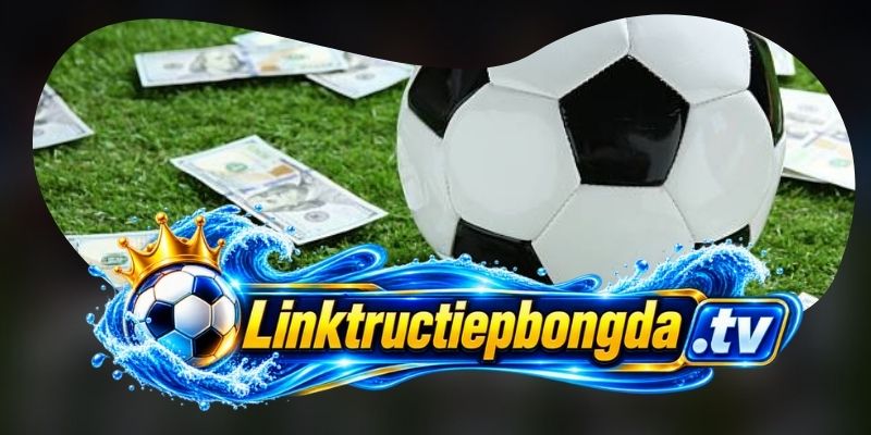 Chính sách bảo mật theo từng loại dữ liệu