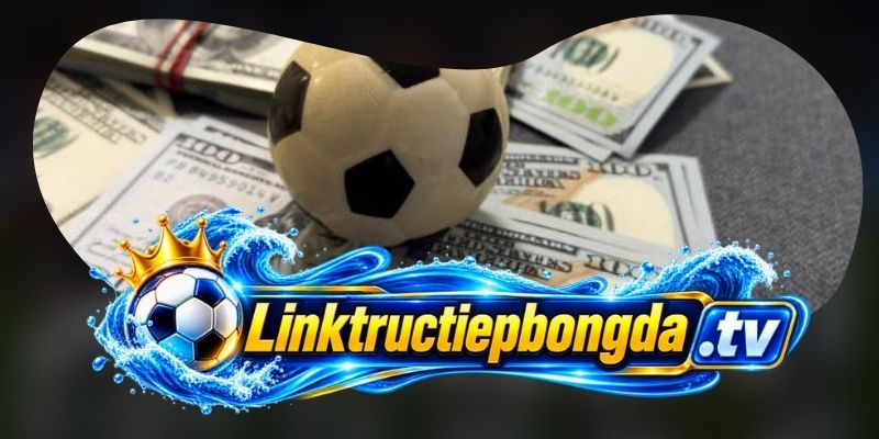 Cookie và quyền lựa chọn của người truy cập