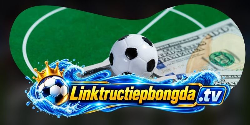 Điều khoản với liên kết dẫn ra ngoài