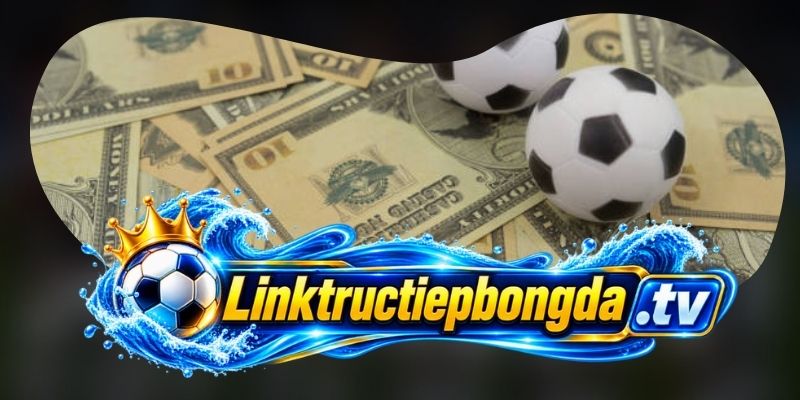 Liên Hệ Trực Tiếp Bóng Đá để được hỗ trợ