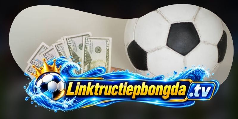 Liên Hệ khi đường xem hoặc trận có vấn đề